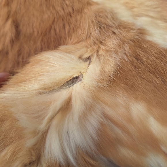 Real Rabbit Fur Tan Jacket - Picture 5 of 7